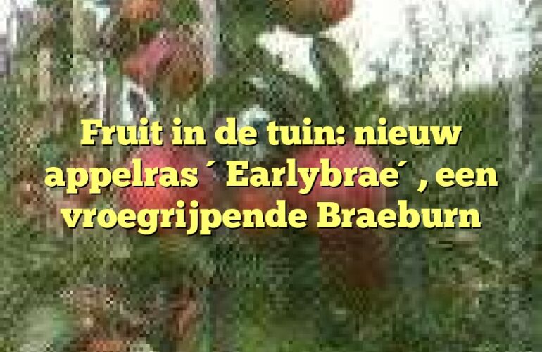 Fruit in de tuin: nieuw appelras ´Earlybrae´, een vroegrijpende Braeburn